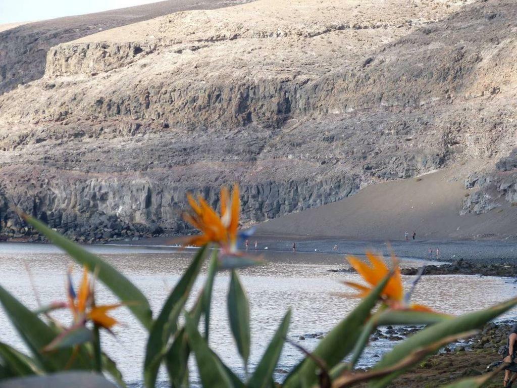 Casa Ale Leilighet Playa Quemada Eksteriør bilde